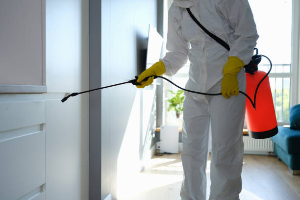 Best Mold Testing  in Benson, AZ