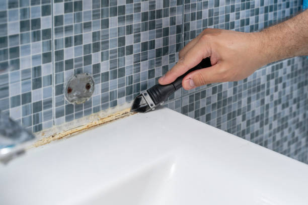 Best Toxic Mold Removal  in Benson, AZ